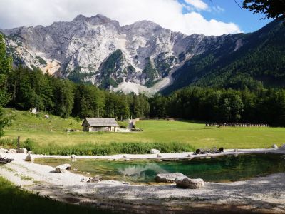 Sommerurlaub auf dem kohof mit Badesee in Slowenien