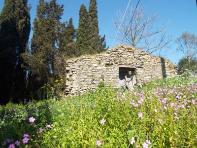 Wanderung durch Olivenhaine auf dem Korfu-Trail