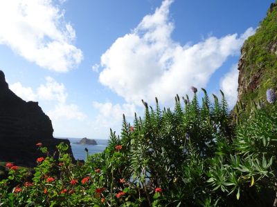 Madeira Wandern organisiert mit Gepcktransfer