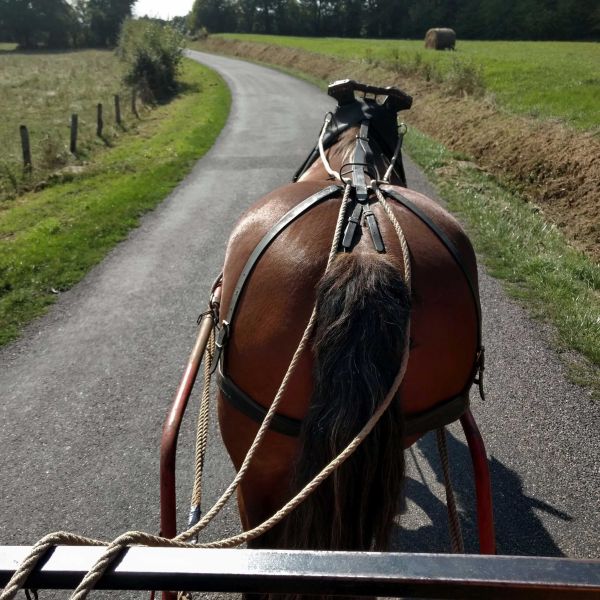 Planwagen-Urlaub in den Vogesen - Frankreich