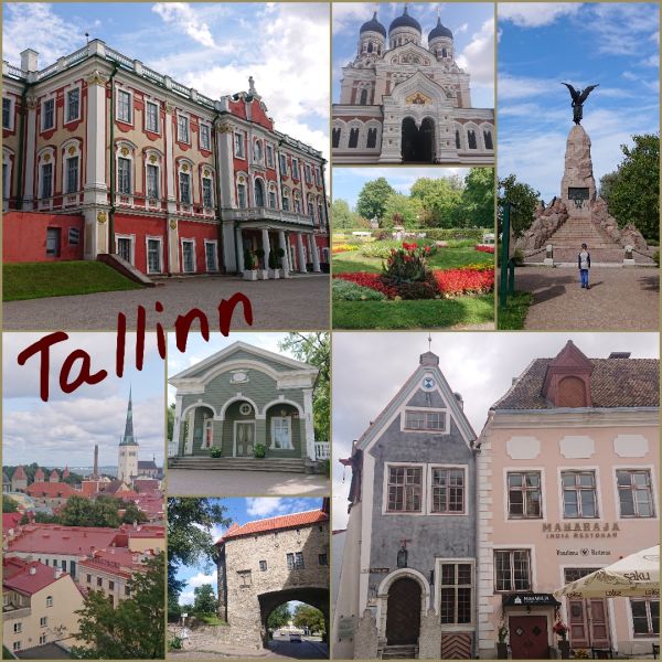 Bren, Elche, Abenteuer - Familienreise Estland