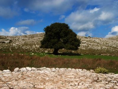 Bio-Ferien in der Natur auf Korfu