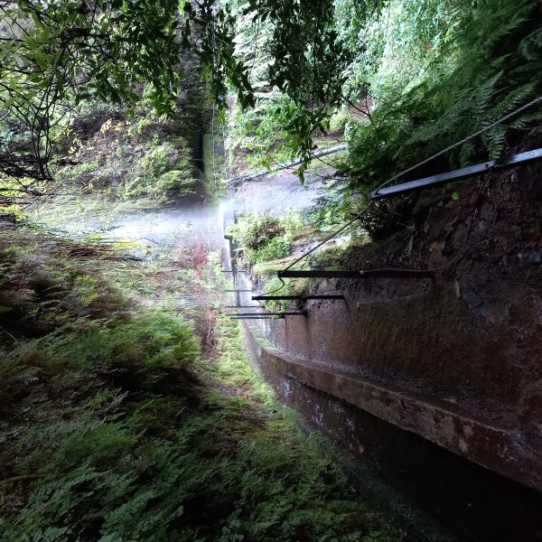 Madeira: Individuell wandern rund um die Blumeninsel