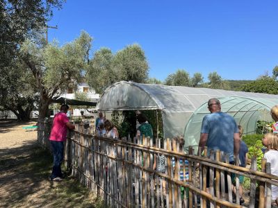 Gemsegarten im Honigtal