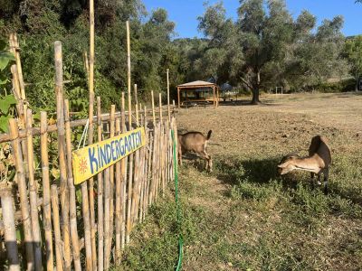 Tiere im Familienurlaub Korfu