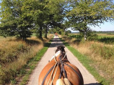 Unterwegs in Frankreich auf dem Land mit Pferden