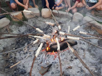 Familienprogramm im Honigtal