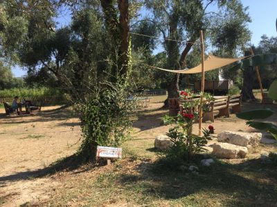 Familienurlaub Griechenland Korfu Garten Sitzplatz
