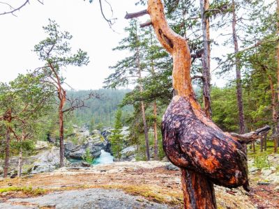 Naturimpressionen im Urlaub fr Familien in Norwegen
