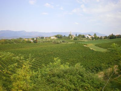 Weinberge von Bassano del Grappa bei Wandern mit Gepcktransport