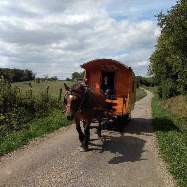 Planwagen-Urlaub in den Vogesen - Frankreich
