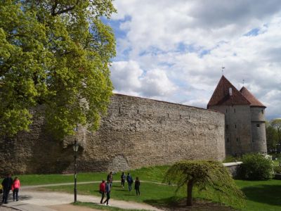 Burgmauer Burgen Estlands Tallin Stdtetour