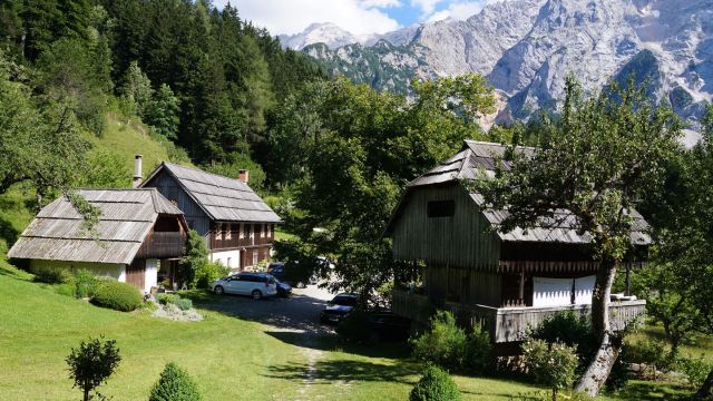 Urlaub auf dem ko Bauernhof Makek in den slowenischen Alpen 
