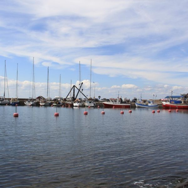 Familienurlaub auf dem Bauernhof auf land - Schweden